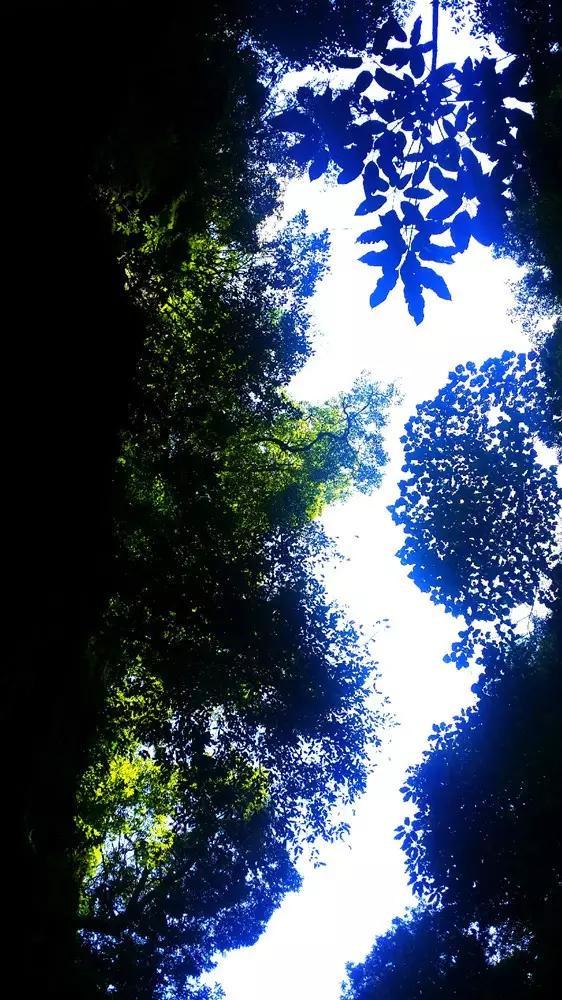 日本登月探测器着陆月球表面但出故障