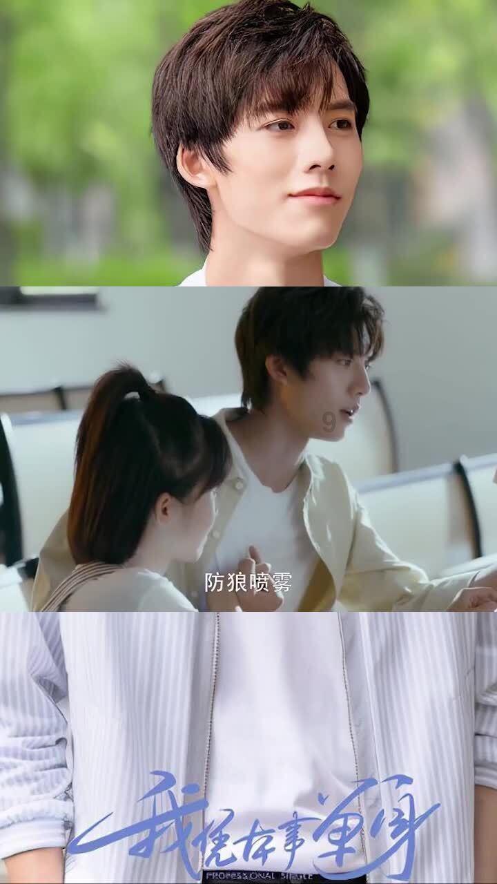 安全的港口